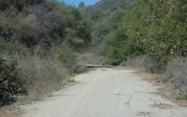 DSC 0045