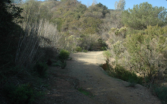 DSC 0059