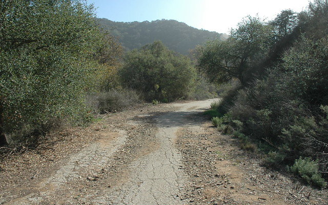 DSC 0063