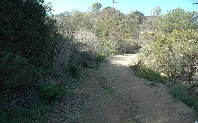 DSC 0060
