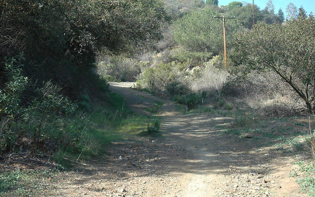 DSC 0053