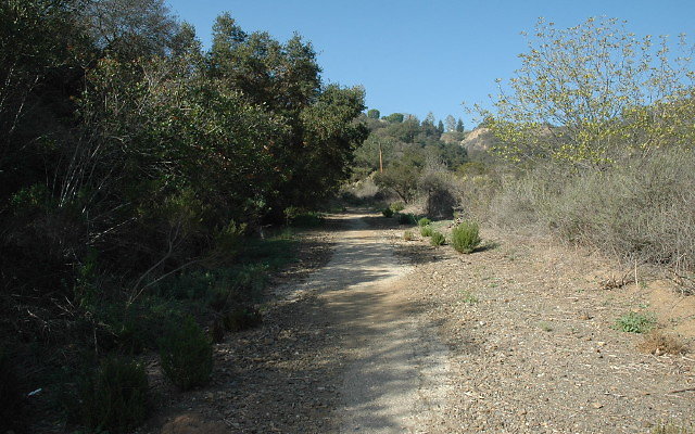 DSC 0050