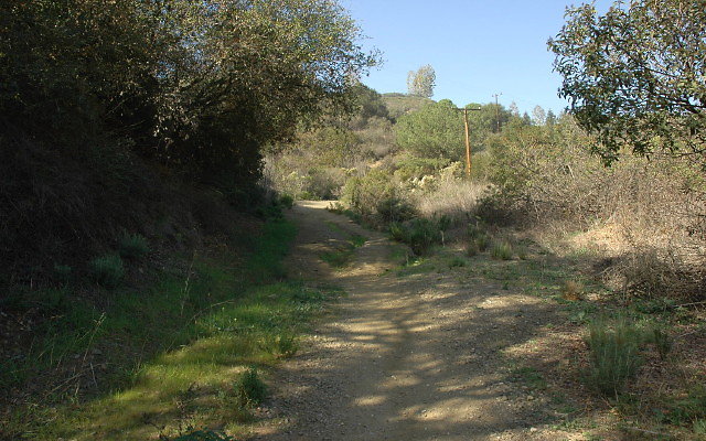DSC 0055