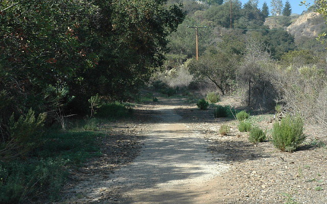 DSC 0049