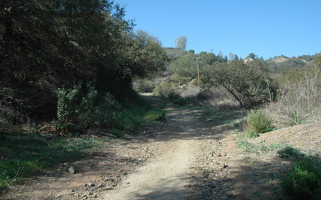 DSC 0054