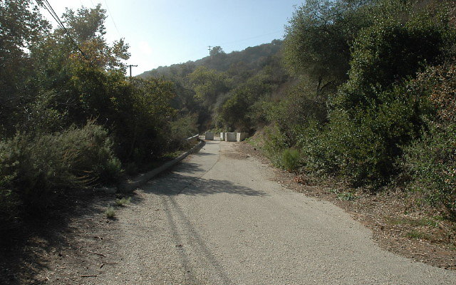 DSC 0042