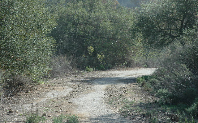 DSC 0052