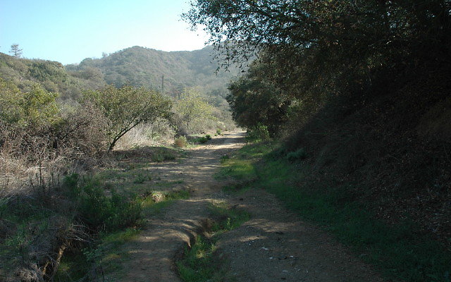 DSC 0061