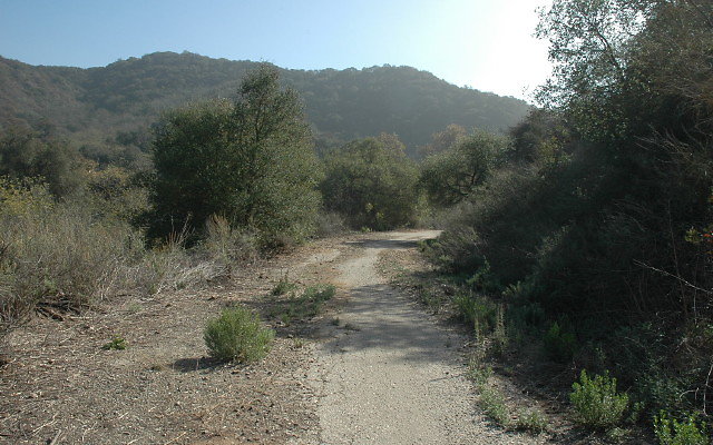 DSC 0051
