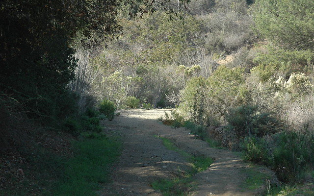 DSC 0056