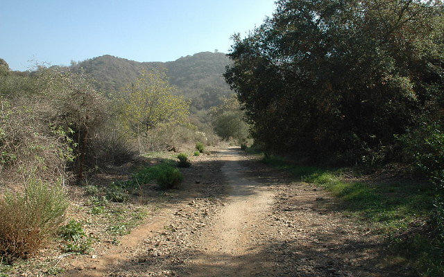 DSC 0058