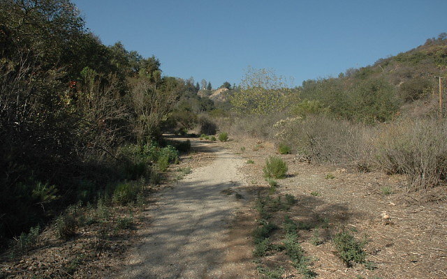 DSC 0047