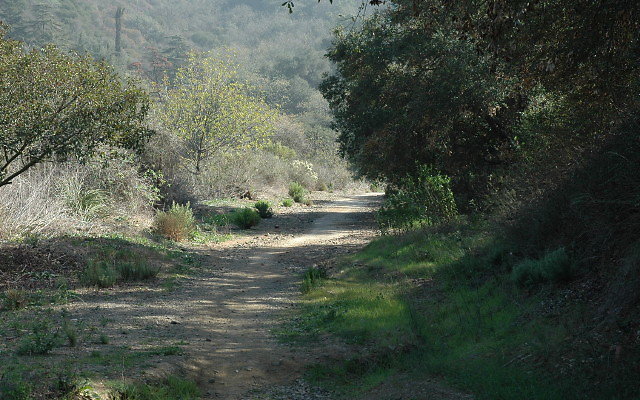 DSC 0062