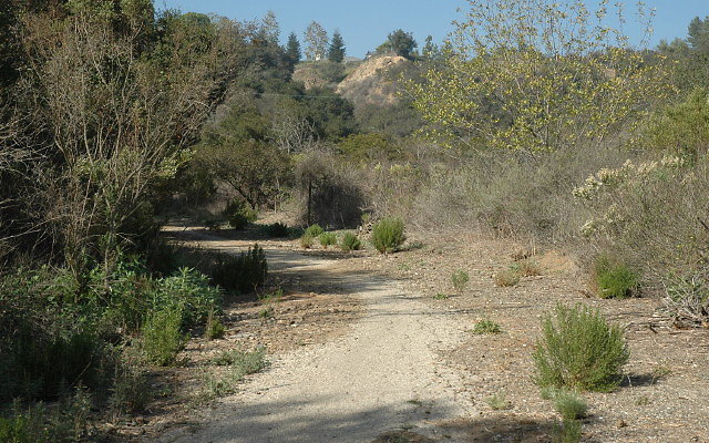 DSC 0048