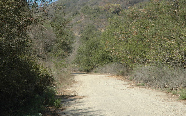 DSC 0043