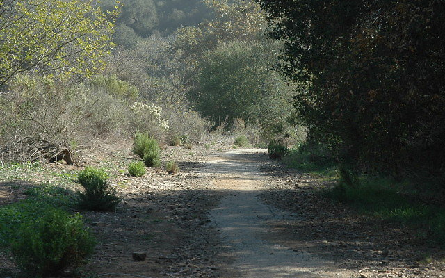 DSC 0057