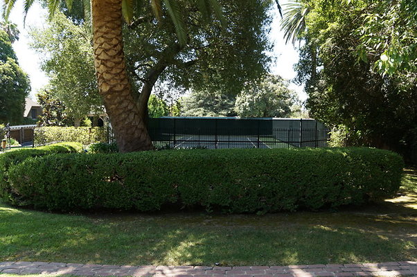 DSC07524