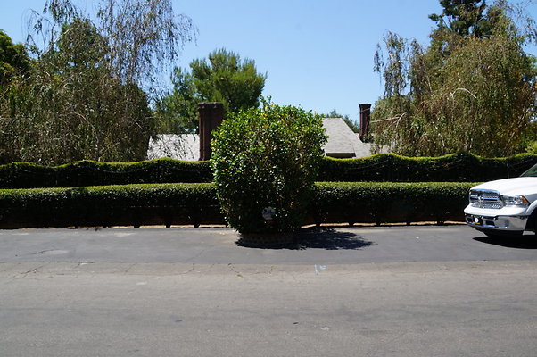 DSC07517