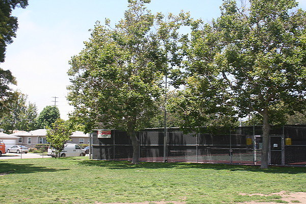 IMG 9036