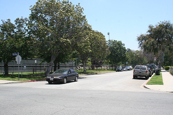 IMG 9061