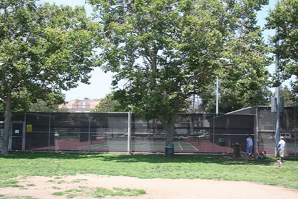 IMG 9037