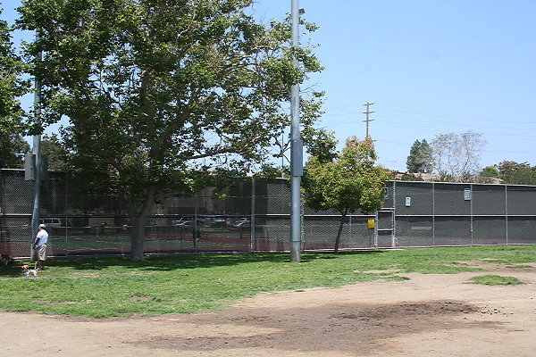 IMG 9038