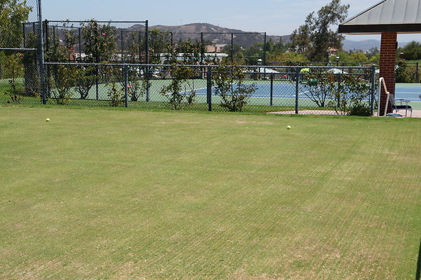 DSC06994