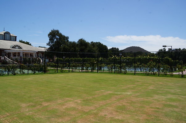 DSC06992