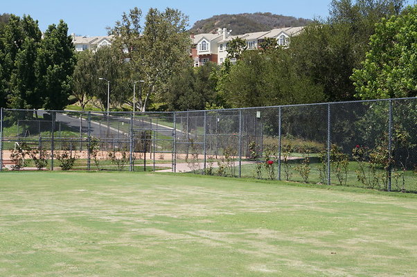 DSC06989