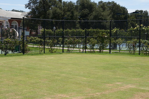 DSC06997