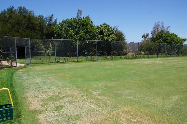 DSC06978