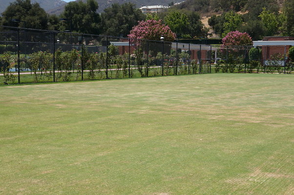 DSC07002