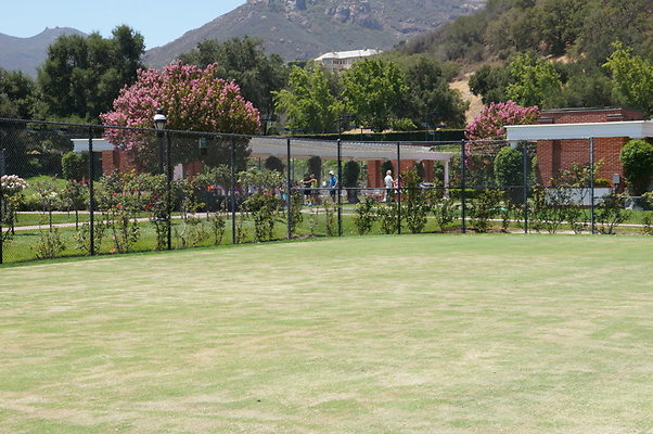 DSC06987