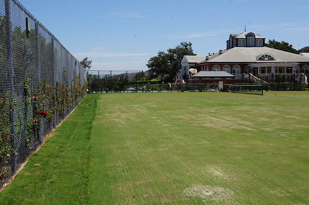 DSC06975