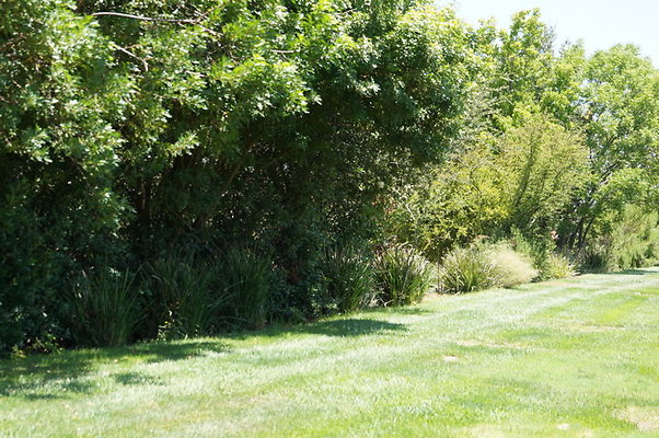 DSC06973