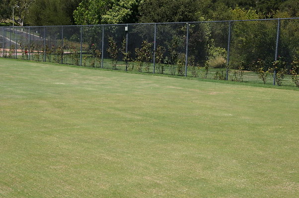 DSC07004