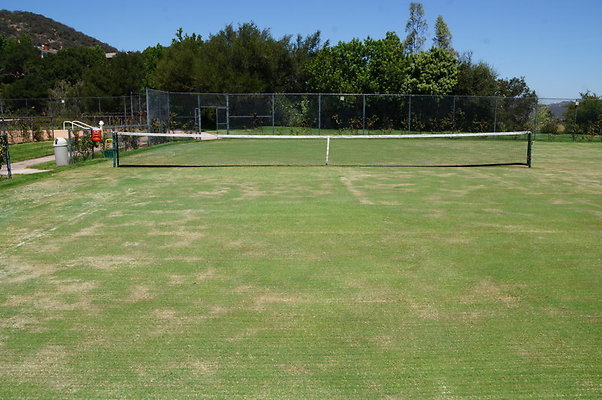 DSC06984