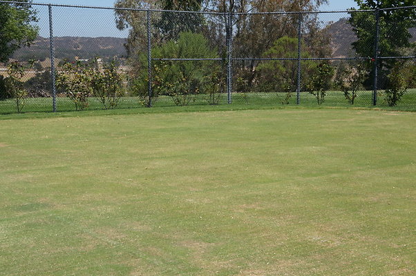 DSC06993