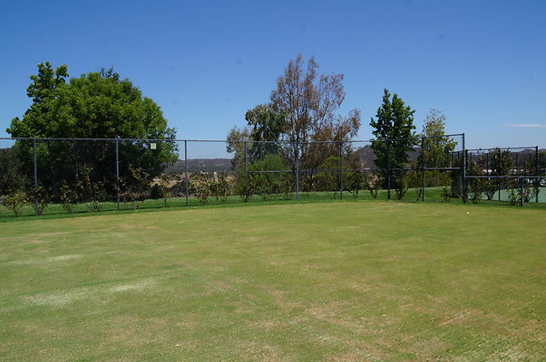DSC06990