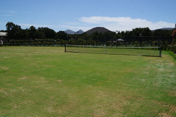 DSC06977