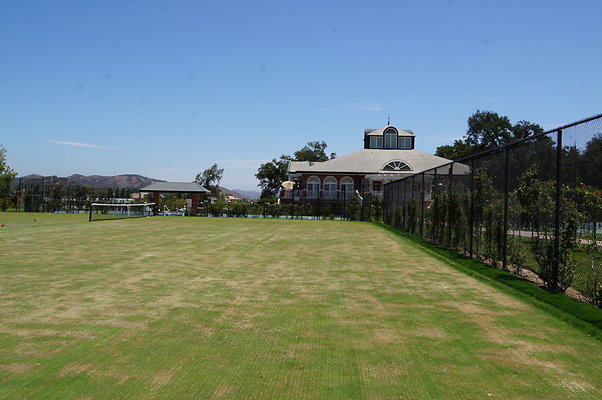 DSC06986