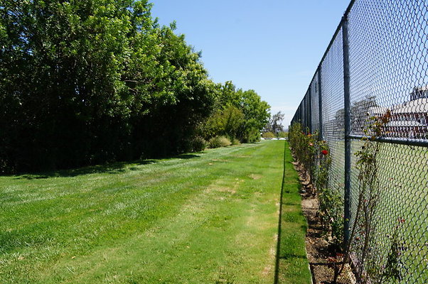 DSC06972