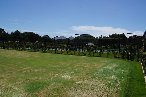 DSC06980