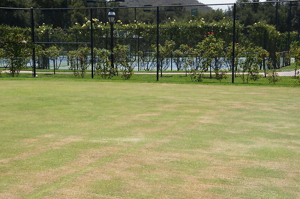 DSC06998