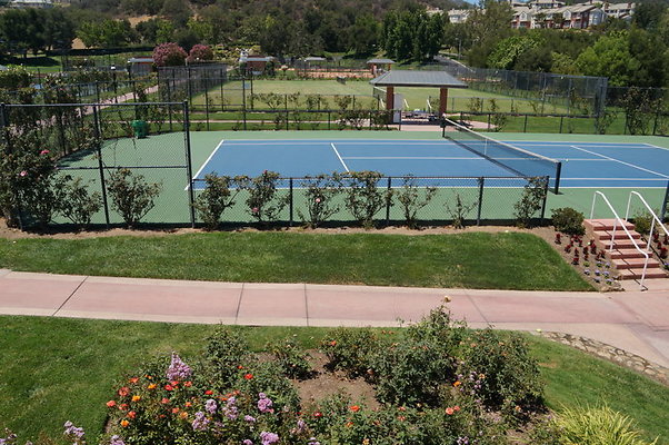 DSC07054