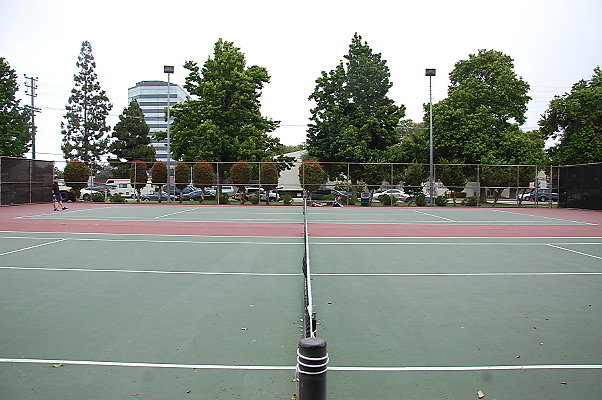DSC 0041