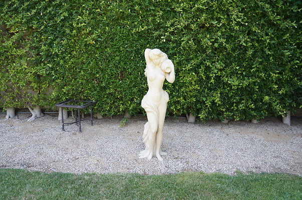 DSC07731