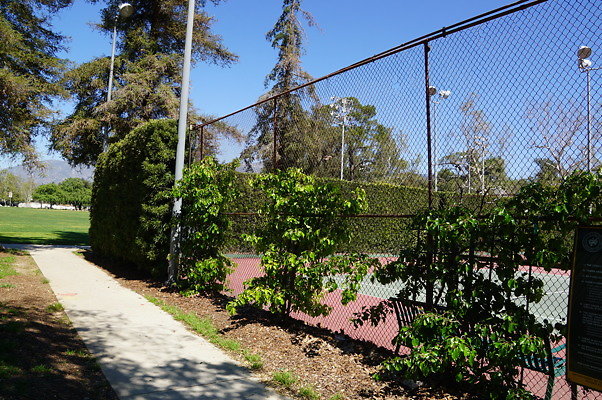 Brookside.Park.Tennis.Ext.10