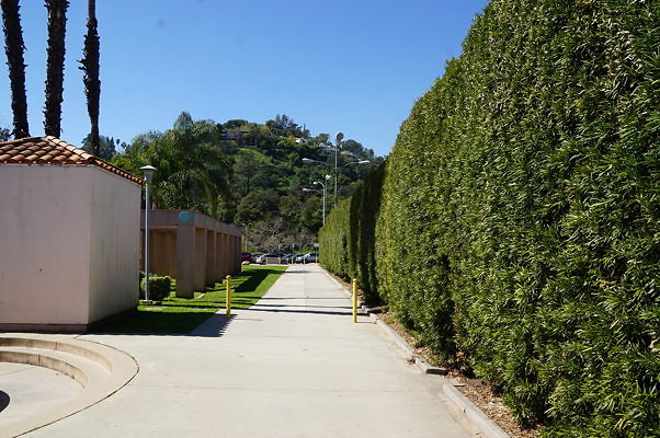 Brookside.Park.Tennis.Ext.17
