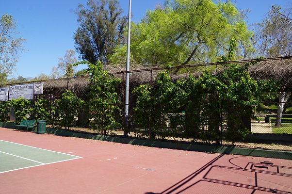Brookside.Tennis.5.15